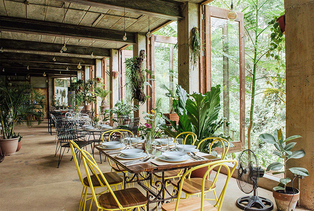 via Burrow Cafe