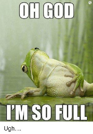 Oh got, i'm so full meme